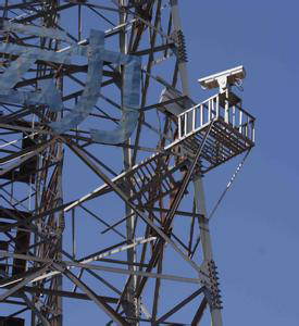 �O(ji��n)����