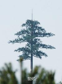 ����ͨ����