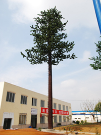 ����ͨӍ��